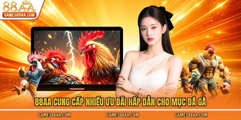 88AA cung cấp nhiều ưu đãi hấp dẫn cho mục đá gà